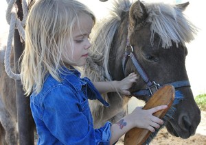 grooming her pony